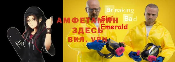твердый Пестово