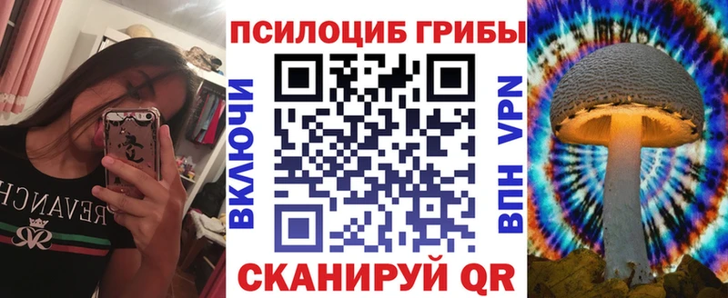 Псилоцибиновые грибы MAGIC MUSHROOMS  наркота  Кудымкар 