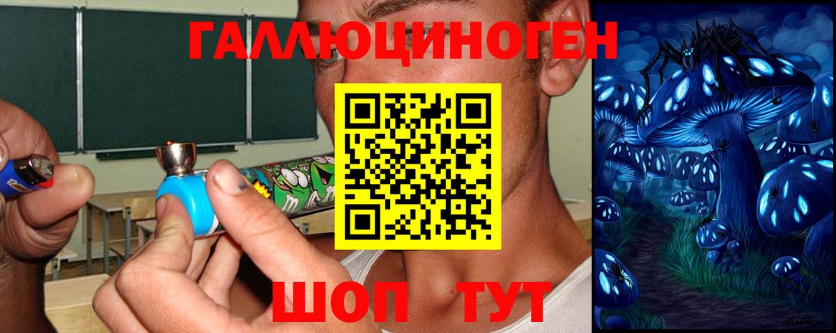 Псилоцибиновые грибы Magic Shrooms Кудымкар